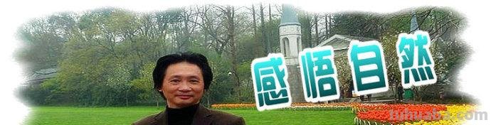 「感悟自然」陆琦水粉风景写生作品