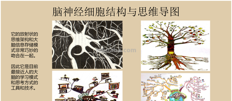 66页完整版,思维导图培训教材,有案例,非常全面,强烈推荐收藏 66页完整版,思维导图培训教材,有案例,非常全面,强烈推荐收藏