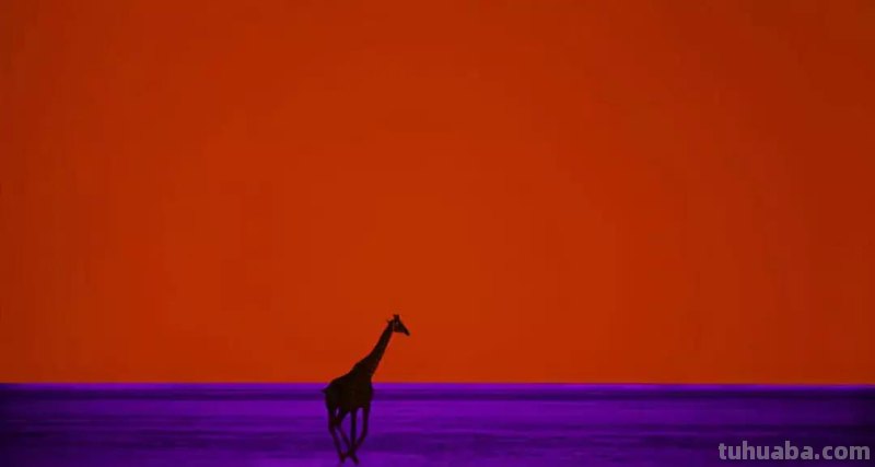 享誉世界的摄影师居然这么“好色”，作品拍出了油画之美，惊艳