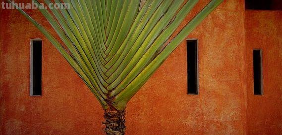 享誉世界的摄影师居然这么“好色”，作品拍出了油画之美，惊艳