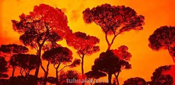 享誉世界的摄影师居然这么“好色”，作品拍出了油画之美，惊艳