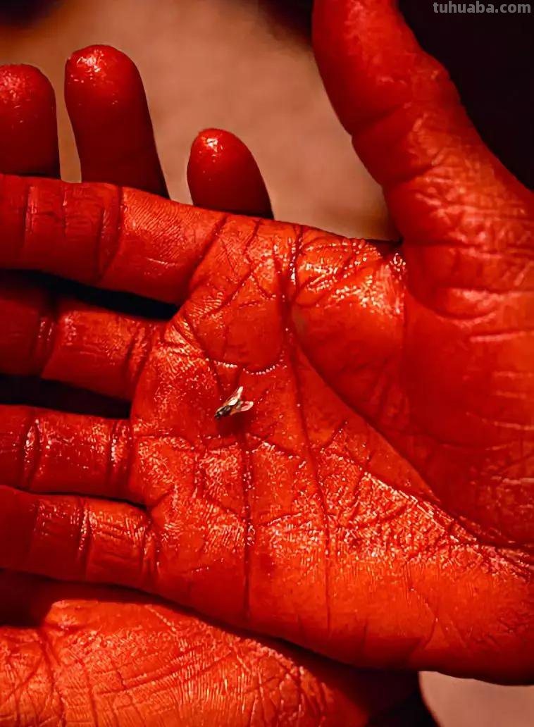 享誉世界的摄影师居然这么“好色”，作品拍出了油画之美，惊艳