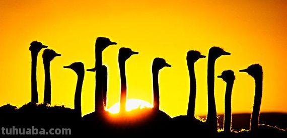 享誉世界的摄影师居然这么“好色”，作品拍出了油画之美，惊艳