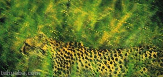 享誉世界的摄影师居然这么“好色”，作品拍出了油画之美，惊艳