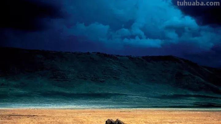 享誉世界的摄影师居然这么“好色”，作品拍出了油画之美，惊艳