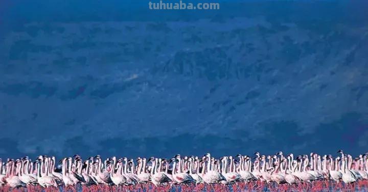 享誉世界的摄影师居然这么“好色”，作品拍出了油画之美，惊艳