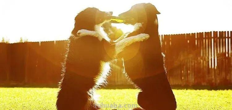 为什么只有黄金时间独得摄影师“专宠”？5大拍摄技巧，值得收藏