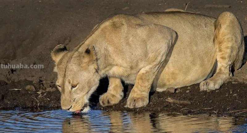 为什么只有黄金时间独得摄影师“专宠”？5大拍摄技巧，值得收藏