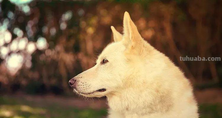 为什么只有黄金时间独得摄影师“专宠”？5大拍摄技巧，值得收藏