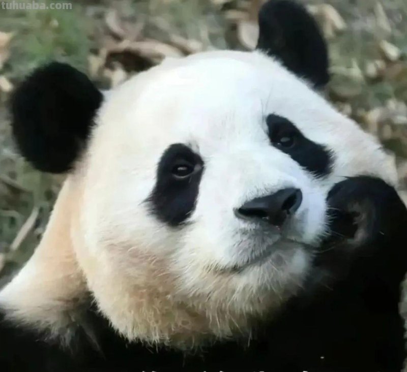 百元读书卡免费送！快来晒出你的阅读感悟→