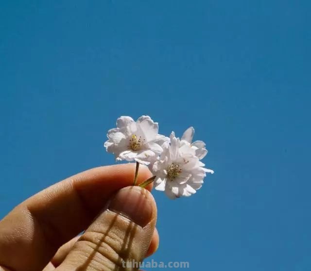 教你拍出干净、简洁的照片，摄影师常用的4个技巧