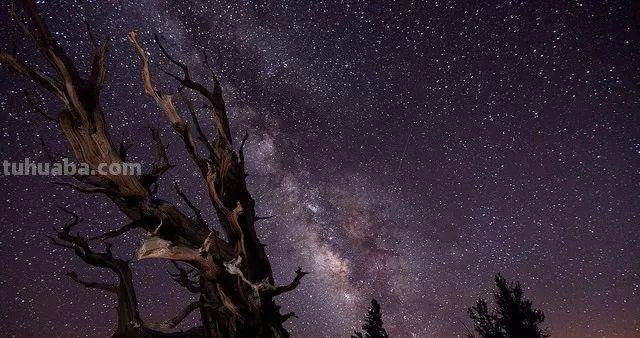 掌握这些摄影技巧,你离专业摄影师就更进一步 掌握这些摄影技巧,你离专业摄影师就更进一步