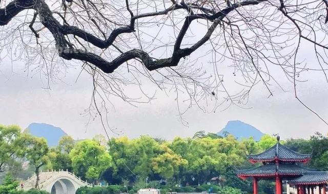 掌握这些摄影技巧,你离专业摄影师就更进一步 掌握这些摄影技巧,你离专业摄影师就更进一步