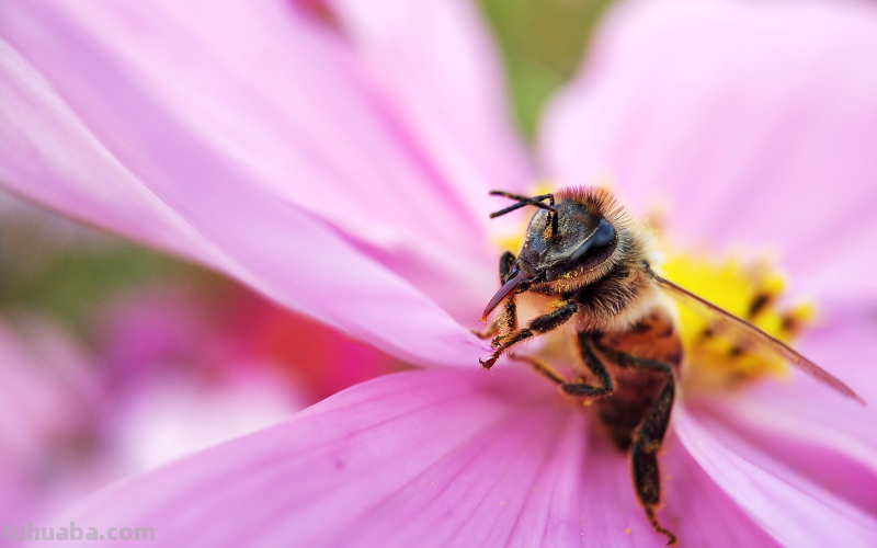 想要成为手机摄影达人，这5个技巧你不可忽略