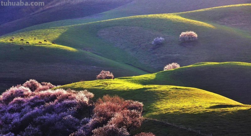 想要成为手机摄影达人，这5个技巧你不可忽略