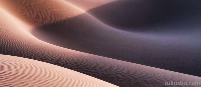 想要成为手机摄影达人，这5个技巧你不可忽略