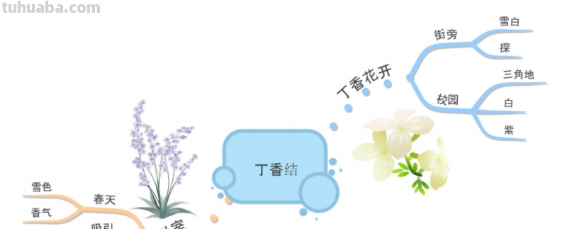 部编版语文六(上)全册课文思维导图 部编版语文六(上)全册课文思维导图