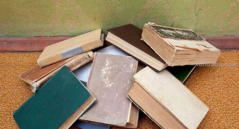 班主任为何要让学生多读书? 班主任为何要让学生多读书?