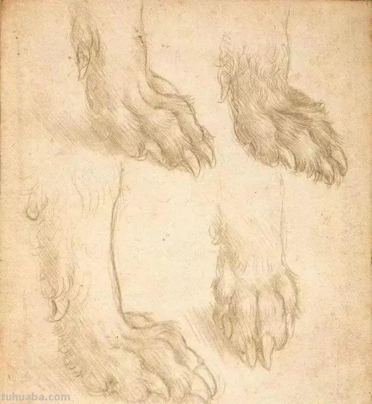 三分钟带你认识素描 三分钟带你认识素描