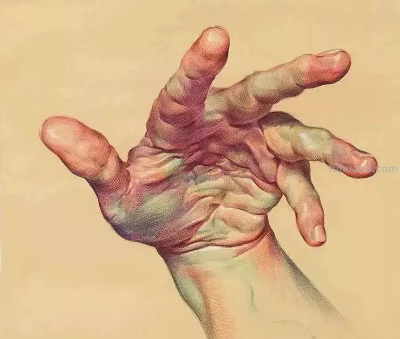 大佬级别素描作品,一个局部就是一张佳作 大佬级别素描作品,一个局部就是一张佳作