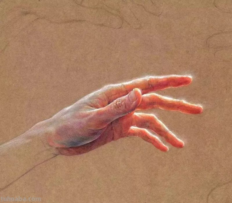 大佬级别素描作品,一个局部就是一张佳作 大佬级别素描作品,一个局部就是一张佳作