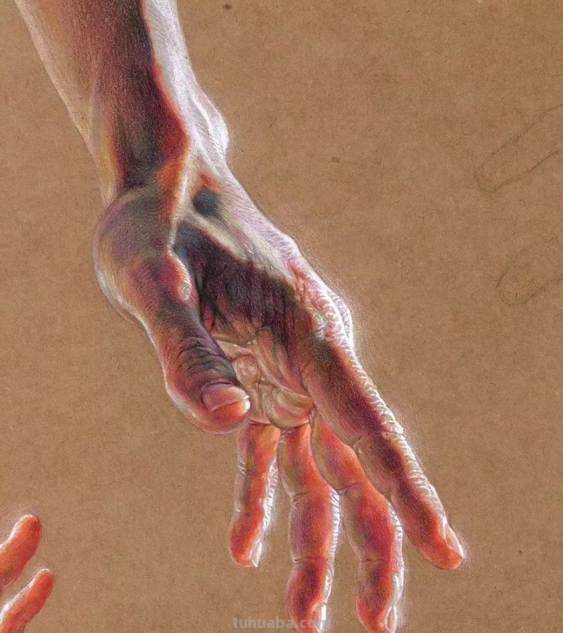 大佬级别素描作品,一个局部就是一张佳作 大佬级别素描作品,一个局部就是一张佳作