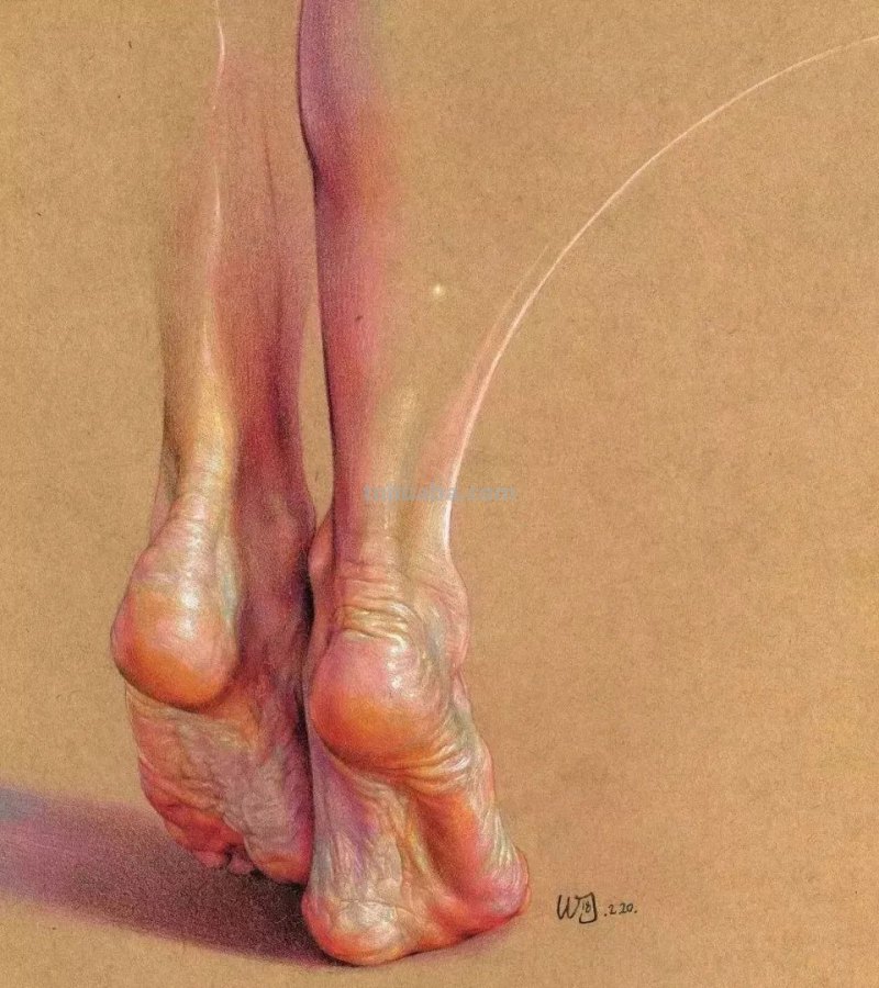 大佬级别素描作品,一个局部就是一张佳作 大佬级别素描作品,一个局部就是一张佳作