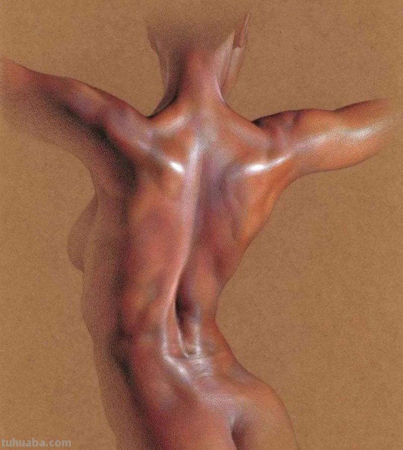 大佬级别素描作品,一个局部就是一张佳作 大佬级别素描作品,一个局部就是一张佳作