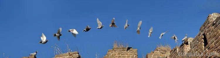 这5个拍摄技巧,帮助你更好地拍好照片 这5个拍摄技巧,帮助你更好地拍好照片