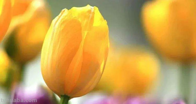 这5个拍摄技巧,帮助你更好地拍好照片 这5个拍摄技巧,帮助你更好地拍好照片