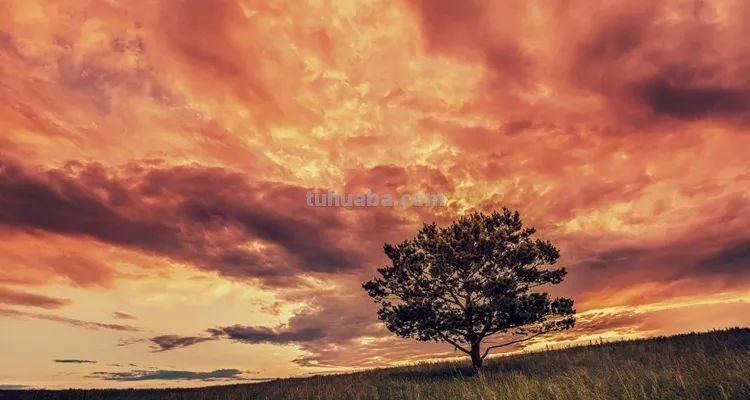 这5个拍摄技巧,帮助你更好地拍好照片 这5个拍摄技巧,帮助你更好地拍好照片