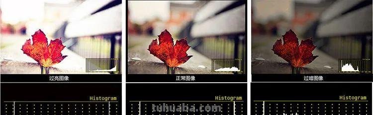 这5个拍摄技巧,帮助你更好地拍好照片 这5个拍摄技巧,帮助你更好地拍好照片