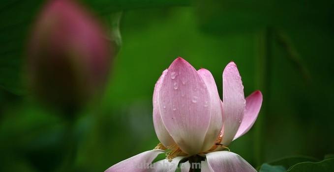 七个摄影小技巧，助你学好摄影