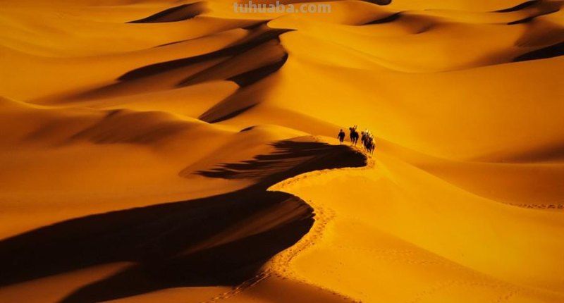 七个摄影小技巧，助你学好摄影