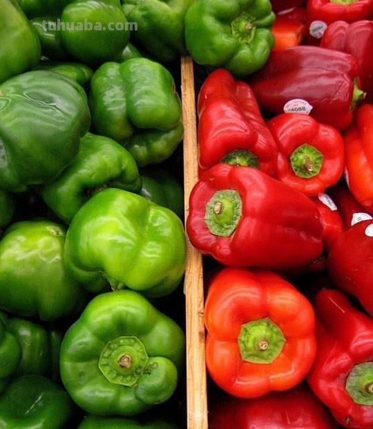 七个摄影小技巧，助你学好摄影