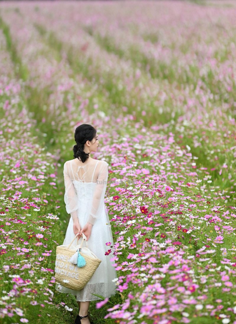 把照片拍好看，摄影师都在用的拍摄技巧，即便颜值不高也能拍美照