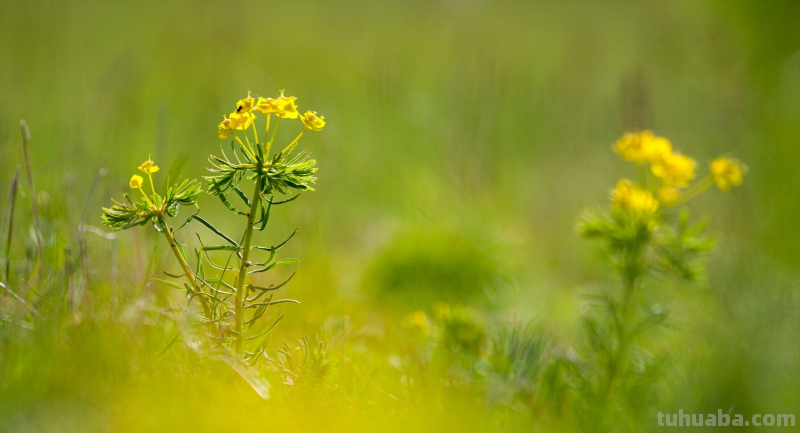 这5个摄影小技巧，实用简单，还有后期换天教程，小白请收藏