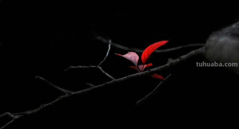 这5个摄影小技巧，实用简单，还有后期换天教程，小白请收藏