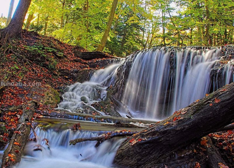 摄影：4种常用的拍摄技巧，教你更轻松拍出好照片