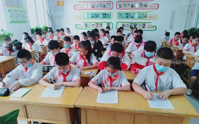 胸藏文墨虚若谷 读书积累气自华-育红小学读书系列活动之读书卡展示活动 胸藏文墨虚若谷 读书积累气自华-育红小学读书系列活动之读书卡展示活动