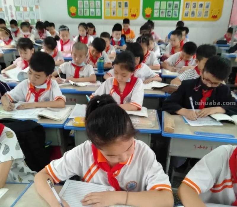 胸藏文墨虚若谷 读书积累气自华-育红小学读书系列活动之读书卡展示活动 胸藏文墨虚若谷 读书积累气自华-育红小学读书系列活动之读书卡展示活动