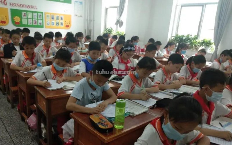 胸藏文墨虚若谷 读书积累气自华-育红小学读书系列活动之读书卡展示活动 胸藏文墨虚若谷 读书积累气自华-育红小学读书系列活动之读书卡展示活动