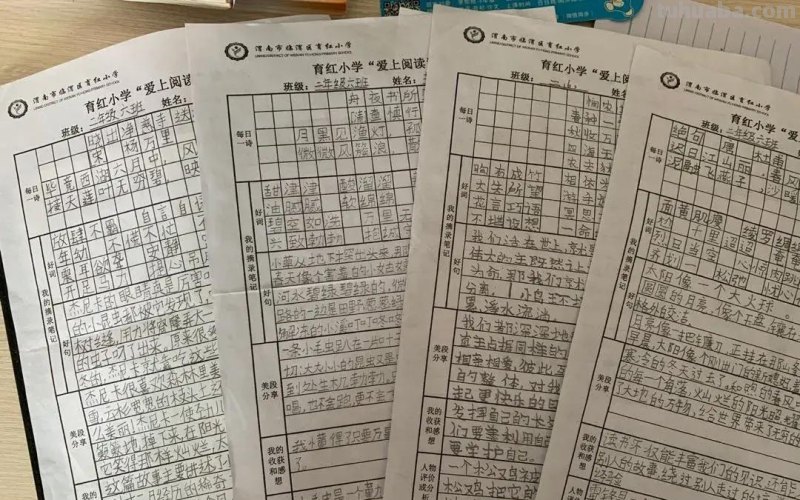 胸藏文墨虚若谷 读书积累气自华-育红小学读书系列活动之读书卡展示活动 胸藏文墨虚若谷 读书积累气自华-育红小学读书系列活动之读书卡展示活动