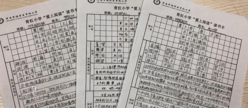 胸藏文墨虚若谷 读书积累气自华-育红小学读书系列活动之读书卡展示活动 胸藏文墨虚若谷 读书积累气自华-育红小学读书系列活动之读书卡展示活动