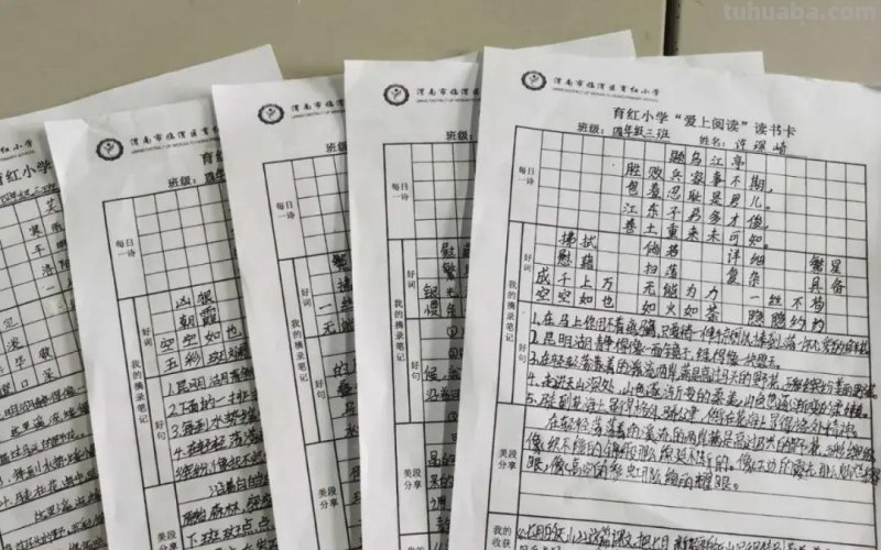 胸藏文墨虚若谷 读书积累气自华-育红小学读书系列活动之读书卡展示活动 胸藏文墨虚若谷 读书积累气自华-育红小学读书系列活动之读书卡展示活动