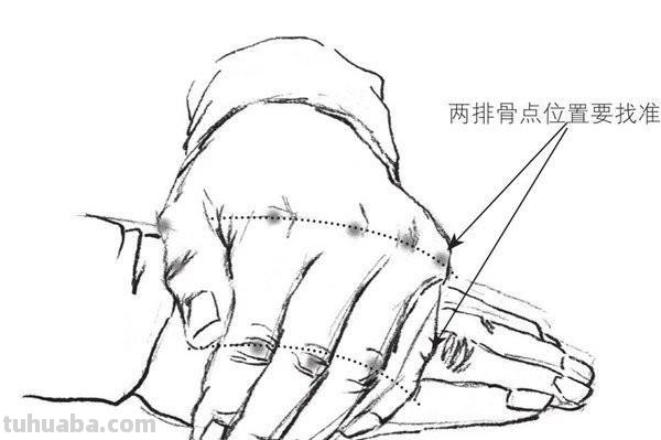 手 速写手速写临摹图片 手 速写手速写临摹图片