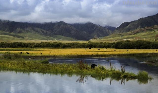 风景速写写生风景速写写生图片高清