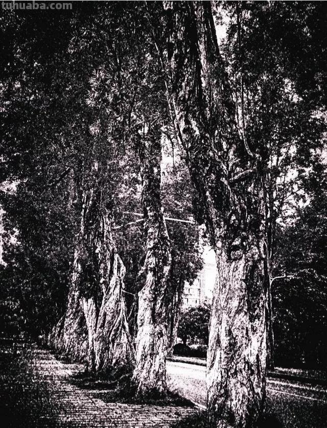 钢笔建筑速写钢笔建筑速写图片