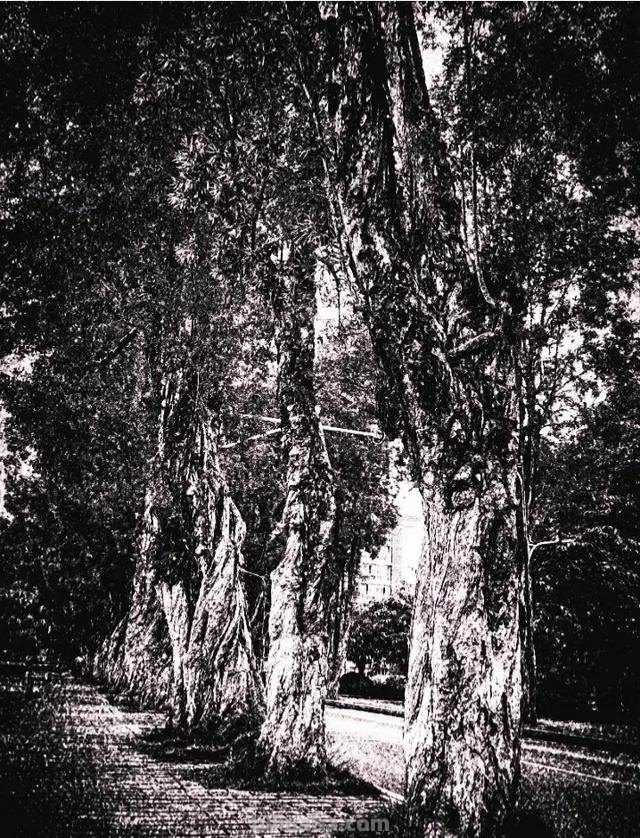 建筑钢笔速写建筑钢笔速写图片临摹高清 建筑钢笔速写建筑钢笔速写图片临摹高清