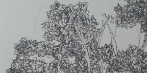 风景速写树风景速写树的画法